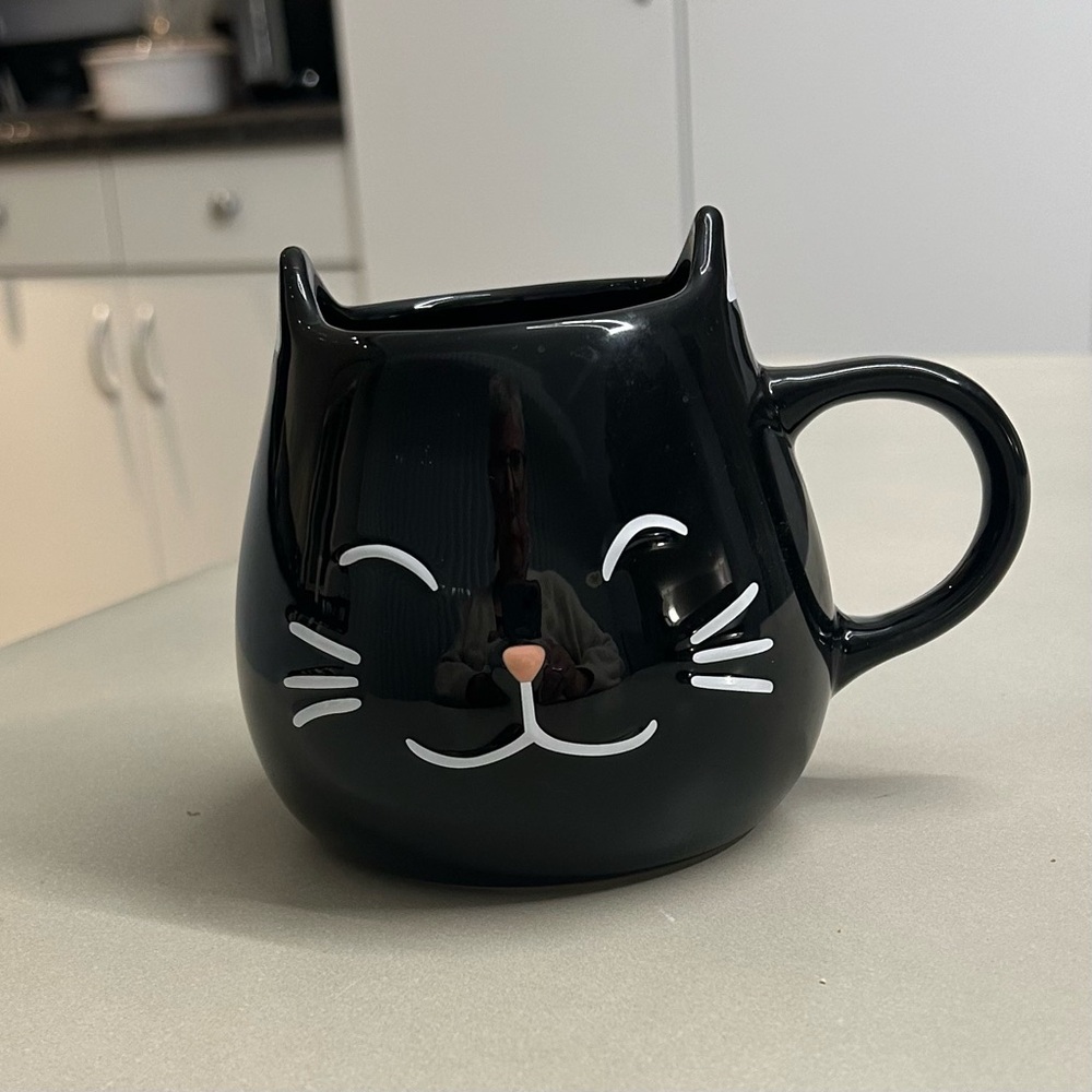 Cost Plus World Market Black Cat Mug
